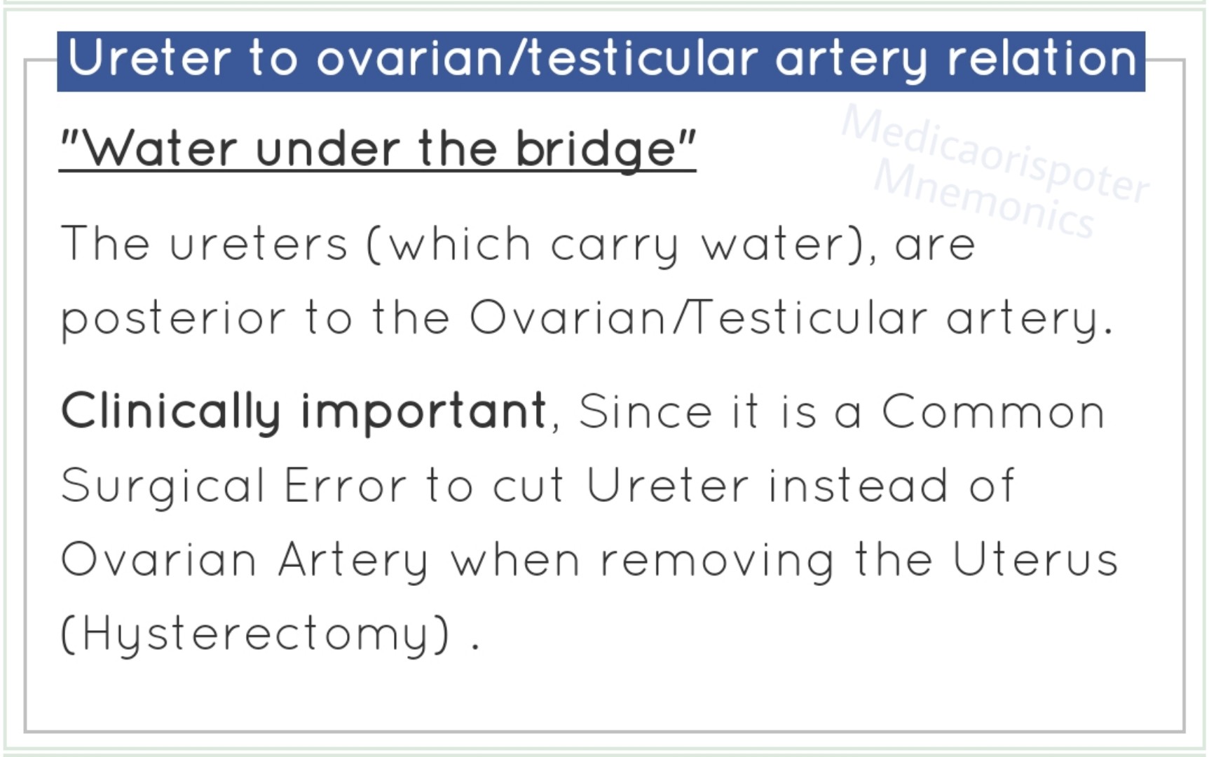 preview of Relations of Ureter to Ovaria  Testicular Artery.jpg